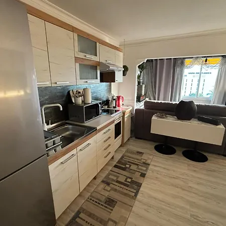 Vista Roja Apartament *